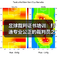 足球裁判证书培训:打造专业公正的裁判员之路(图4) 足球裁判证书培训:打造专业公正的裁判员之路(图4)