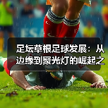足坛草根足球发展：从边缘到聚光灯的崛起之路（图1）