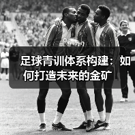 足球青训体系构建：如何打造未来的金矿（图3）