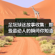 足坛球迷故事收集:那些最动人的瞬间你知道吗?(图1) 足坛球迷故事收集:那些最动人的瞬间你知道吗?(图1)