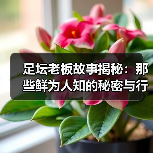 足坛老板故事揭秘：那些鲜为人知的秘密与行业内幕（图4）