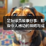 足坛球员故事分享:那些令人感动的瞬间与成长(图2) 足坛球员故事分享:那些令人感动的瞬间与成长(图2)