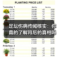 足坛伤病传闻核实：你真的了解背后的真相吗？（图1）