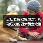 足坛赛程密集应对:打破压力的四大黄金攻略(图2) 足坛赛程密集应对:打破压力的四大黄金攻略(图2)
