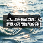 足坛球迷骚乱管理：破解暴力背后隐秘的真相（图2）