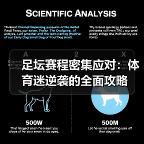 足坛赛程密集应对：体育迷逆袭的全面攻略（图1）