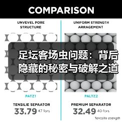 足坛客场虫问题:背后隐藏的秘密与破解之道(图3) 足坛客场虫问题:背后隐藏的秘密与破解之道(图3)