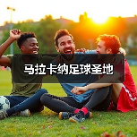马拉卡纳足球圣地（图2）