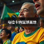 马拉卡纳足球圣地（图4）