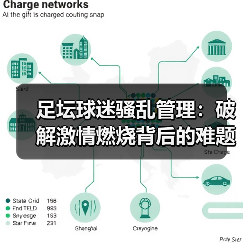 足坛球迷骚乱管理：破解激情燃烧背后的难题（图1）