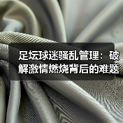 足坛球迷骚乱管理：破解激情燃烧背后的难题（图3）