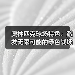 奥林匹克球场特色：激发无限可能的绿色战场