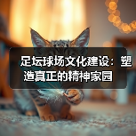 足坛球场文化建设:塑造真正的精神家园(图4) 足坛球场文化建设:塑造真正的精神家园(图4)