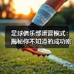 足球俱乐部运营模式:揭秘你不知道的成功密码(图2) 足球俱乐部运营模式:揭秘你不知道的成功密码(图2)