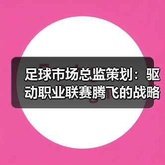 足球市场总监策划:驱动职业联赛腾飞的战略密码(图4) 足球市场总监策划:驱动职业联赛腾飞的战略密码(图4)