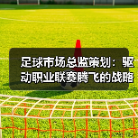足球市场总监策划:驱动职业联赛腾飞的战略密码(图2) 足球市场总监策划:驱动职业联赛腾飞的战略密码(图2)