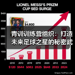 青训训练营组织:打造未来足球之星的秘密武器(图3) 青训训练营组织:打造未来足球之星的秘密武器(图3)