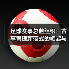 足球赛事总监组织:赛事管理新范式的崛起与实践探索(图4) 足球赛事总监组织:赛事管理新范式的崛起与实践探索(图4)