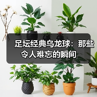 足坛经典乌龙球:那些令人难忘的瞬间(图3) 足坛经典乌龙球:那些令人难忘的瞬间(图3)