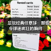 足坛经典任意球：那些令球迷疯狂的瞬间