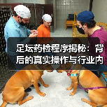 足坛药检程序揭秘:背后的真实操作与行业内幕(图2) 足坛药检程序揭秘:背后的真实操作与行业内幕(图2)