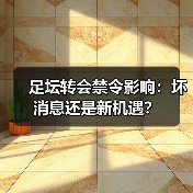 足坛转会禁令影响:坏消息还是新机遇?(图4) 足坛转会禁令影响:坏消息还是新机遇?(图4)