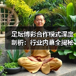 足坛博彩合作模式深度剖析:行业内幕全揭秘(图3) 足坛博彩合作模式深度剖析:行业内幕全揭秘(图3)