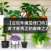 【足坛年度最佳门将】谁才是真正的巅峰之选？（图3）