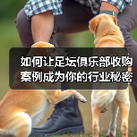 如何让足坛俱乐部收购案例成为你的行业秘密武器(图3) 如何让足坛俱乐部收购案例成为你的行业秘密武器(图3)