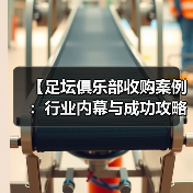 【足坛俱乐部收购案例:行业内幕与成功攻略】(图3) 【足坛俱乐部收购案例:行业内幕与成功攻略】(图3)