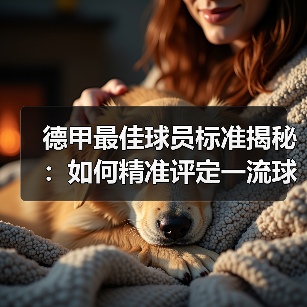 德甲最佳球员标准揭秘:如何精准评定一流球星(图4) 德甲最佳球员标准揭秘:如何精准评定一流球星(图4)