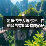 足坛传奇入选标准：真相背后有哪些隐藏的秘密？（图4）