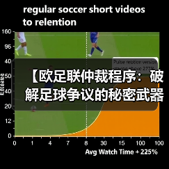 【欧足联仲裁程序：破解足球争议的秘密武器】（图3）