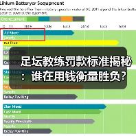 足坛教练罚款标准揭秘：谁在用钱衡量胜负？（图2）