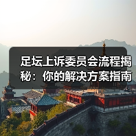 足坛上诉委员会流程揭秘：你的解决方案指南（图2）