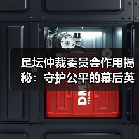 足坛仲裁委员会作用揭秘：守护公平的幕后英雄（图3）