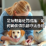 足坛财务处罚措施：如何确保俱乐部守法合规（图2）