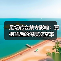 足坛转会禁令影响：真相背后的深层次变革