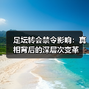 足坛转会禁令影响：真相背后的深层次变革（图4）