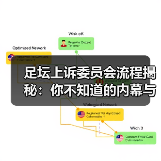 足坛上诉委员会流程揭秘:你不知道的内幕与实操技巧(图4) 足坛上诉委员会流程揭秘:你不知道的内幕与实操技巧(图4)