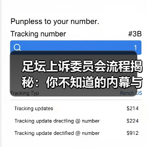足坛上诉委员会流程揭秘:你不知道的内幕与实操技巧(图1) 足坛上诉委员会流程揭秘:你不知道的内幕与实操技巧(图1)