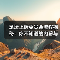 足坛上诉委员会流程揭秘:你不知道的内幕与实操技巧(图2) 足坛上诉委员会流程揭秘:你不知道的内幕与实操技巧(图2)