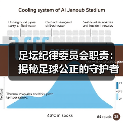 足坛纪律委员会职责：揭秘足球公正的守护者（图3）