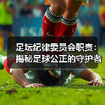 足坛纪律委员会职责：揭秘足球公正的守护者（图4）