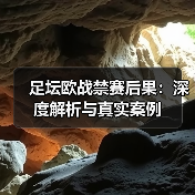 足坛欧战禁赛后果：深度解析与真实案例（图2）