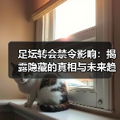 足坛转会禁令影响:揭露隐藏的真相与未来趋势(图2) 足坛转会禁令影响:揭露隐藏的真相与未来趋势(图2)