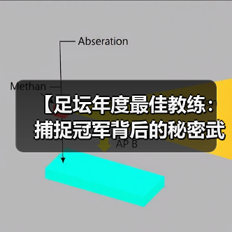 【足坛年度最佳教练:捕捉冠军背后的秘密武器】(图3) 【足坛年度最佳教练:捕捉冠军背后的秘密武器】(图3)