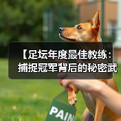 【足坛年度最佳教练:捕捉冠军背后的秘密武器】(图4) 【足坛年度最佳教练:捕捉冠军背后的秘密武器】(图4)