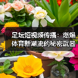 足坛短视频传播:燃爆体育新潮流的秘密武器(图3) 足坛短视频传播:燃爆体育新潮流的秘密武器(图3)