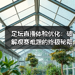 足坛直播体验优化:破解观赛难题的终极秘籍(图2) 足坛直播体验优化:破解观赛难题的终极秘籍(图2)